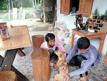 โครงการฉีดวัคซีนป้องกันพิษสุนัขบ้า ประจำปี 2562